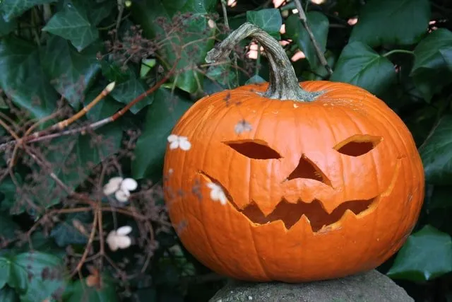 How to Say Trick or Treat in 5 Different Languages And Other Halloween Facts